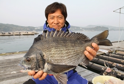チヌ釣り道場シーズンⅡ春編-.gif